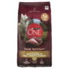 Purina One True Instinct Dog Food