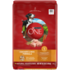 Purina One Dry Dog Food for Adult Dogs